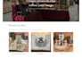 provide professionally shopify web design